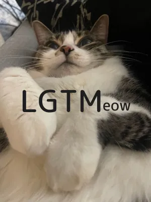 lgtm-cat-image