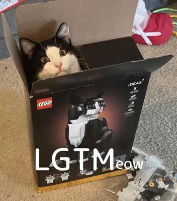 LGTM image