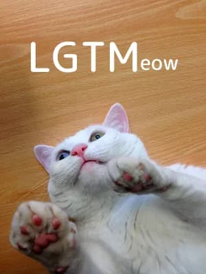 lgtm-cat-image