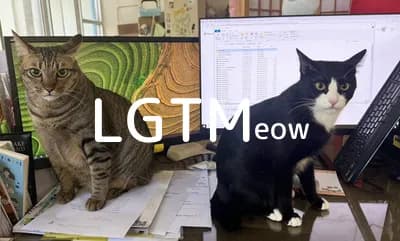 lgtm-cat-image