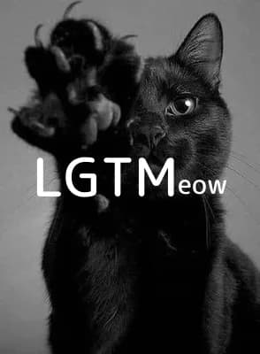 LGTM image
