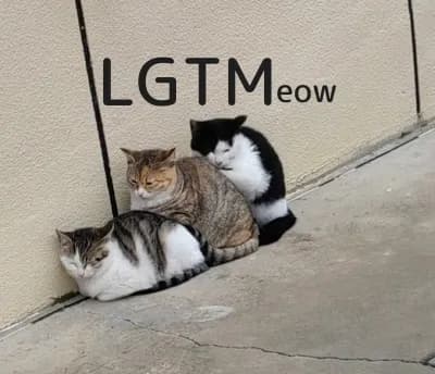 LGTM image