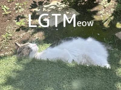 LGTM image