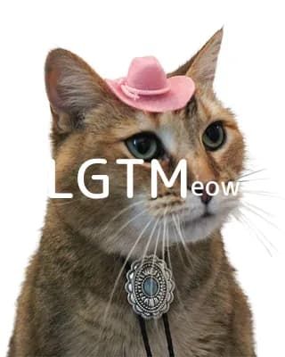 LGTM image