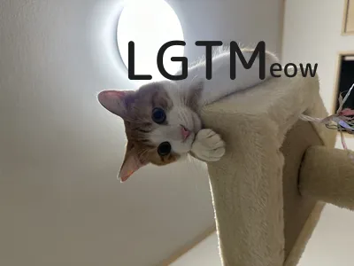 LGTM image