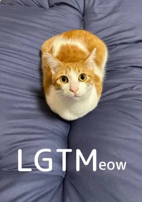 LGTM image