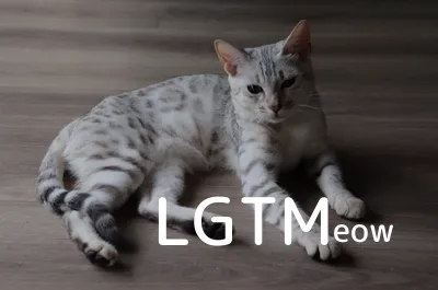 LGTM image