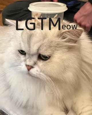 LGTM image