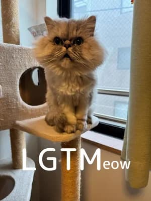 LGTM image