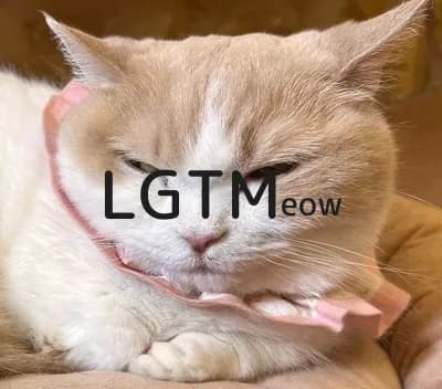 LGTM image