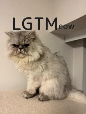 LGTM image