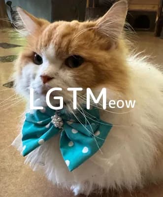 LGTM image