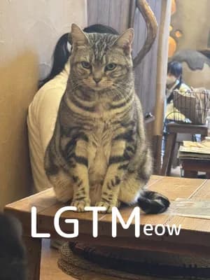 LGTM image