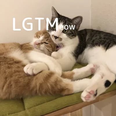 LGTM image