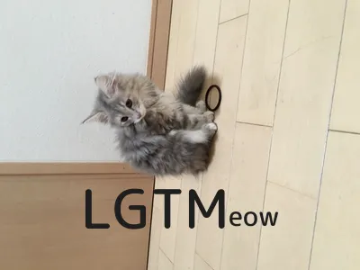 lgtm-cat-image