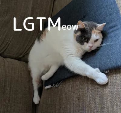 LGTM image