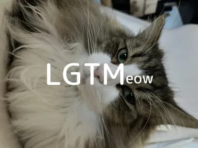 LGTM image