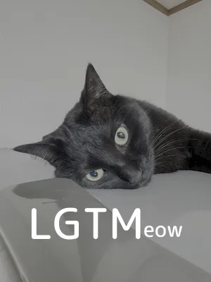 LGTM image