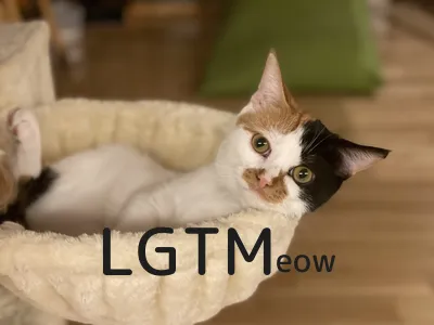 lgtm-cat-image