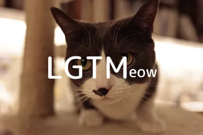 lgtm-cat-image