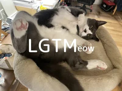 LGTM image
