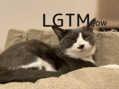 LGTM image