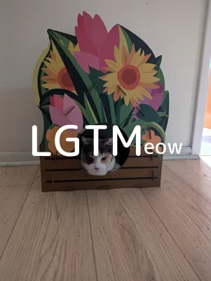 lgtm-cat-image