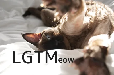 LGTM image