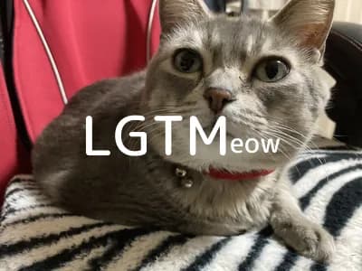 LGTM image
