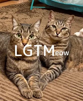 LGTM image