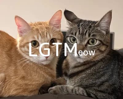 LGTM image