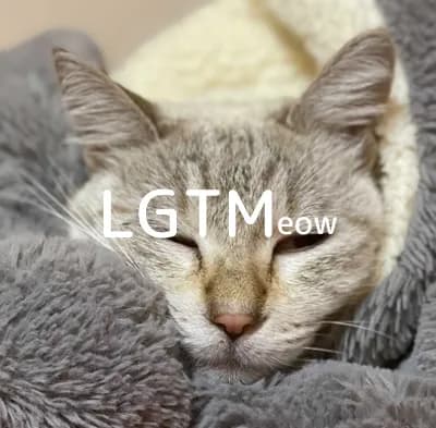 LGTM image