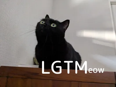 LGTM image