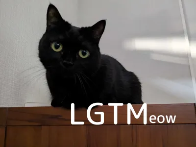 LGTM image