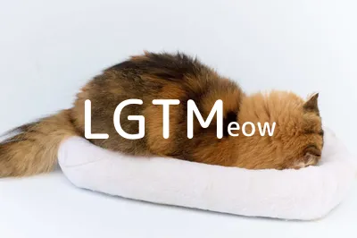 lgtm-cat-image
