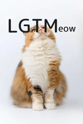 LGTM image
