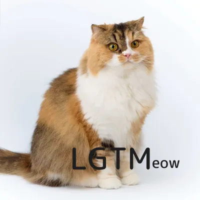 LGTM image
