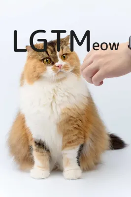 LGTM image