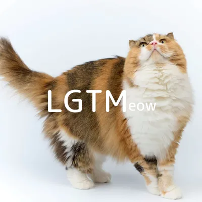 LGTM image