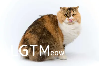 LGTM image