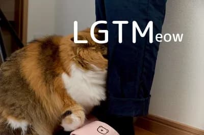 LGTM image