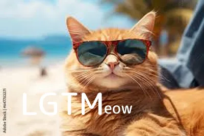 LGTM image