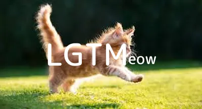 LGTM image