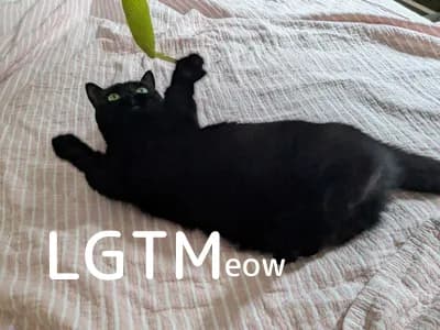 LGTM image