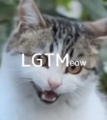 LGTM image
