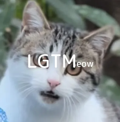 LGTM image