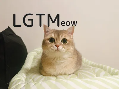 LGTM image