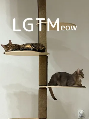 LGTM image