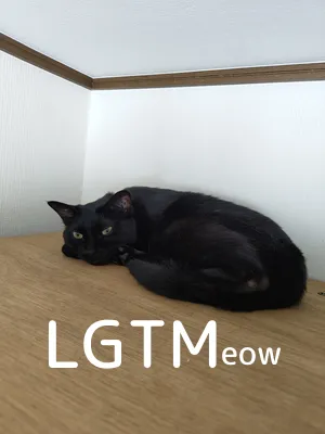 LGTM image