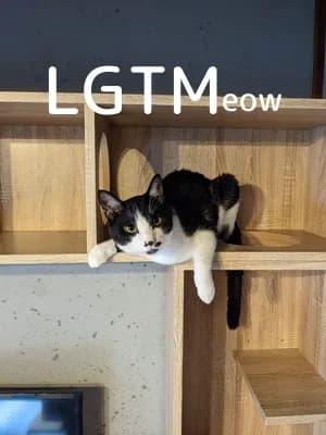 LGTM image
